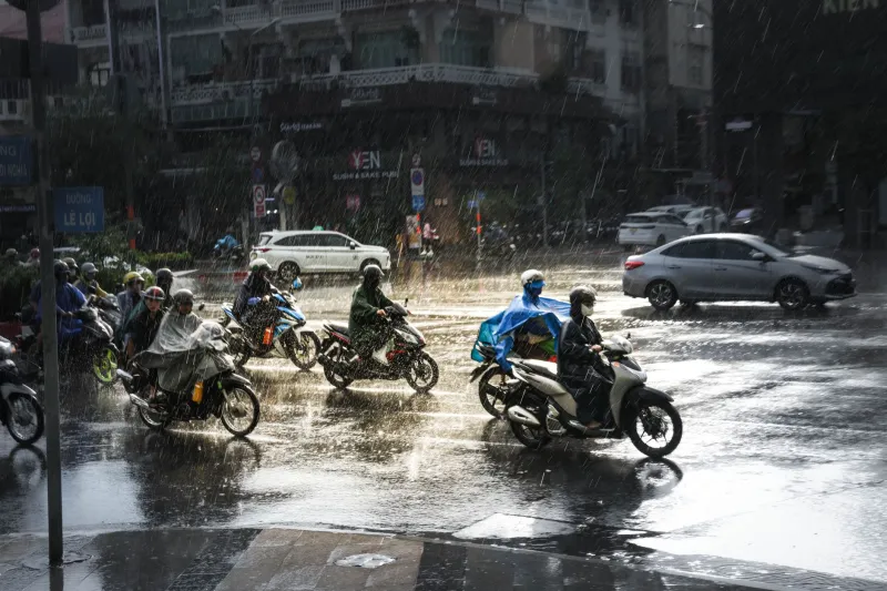 Rain, Rhythm, and Returns: What Vietnam's Monsoon Calendar Reveals About Your Best Betting Windows