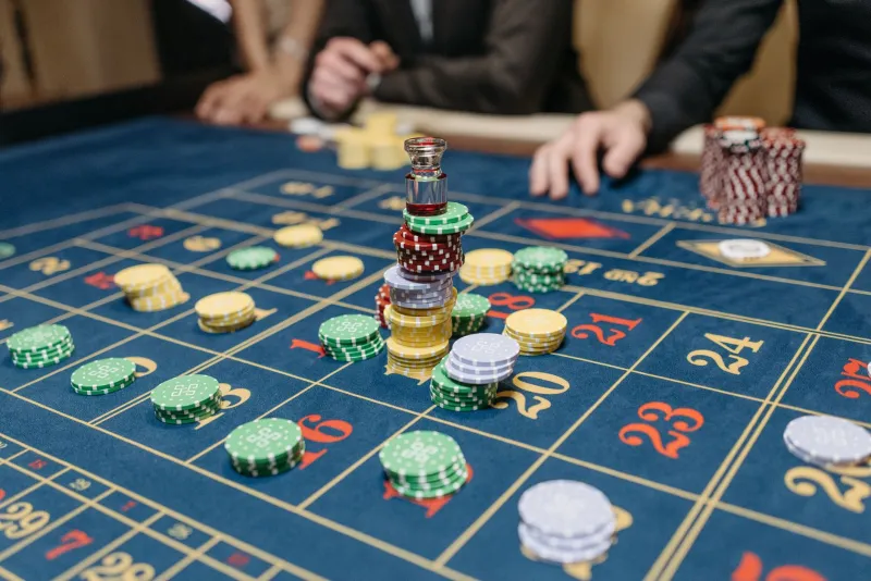 Year of the Snake, Season of the Bet: How Vietnamese Zodiac Beliefs Are Quietly Rewiring American Gambling Habits